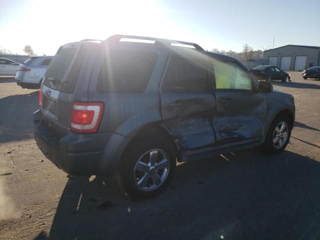 2010 Ford Escape Limited