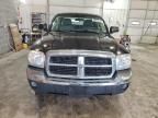 2005 Dodge Dakota Quad SLT