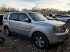 2011 Honda Pilot EXL