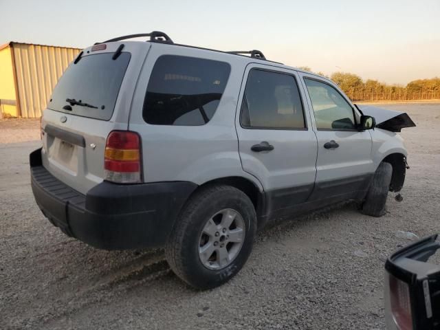 2006 Ford Escape XLT