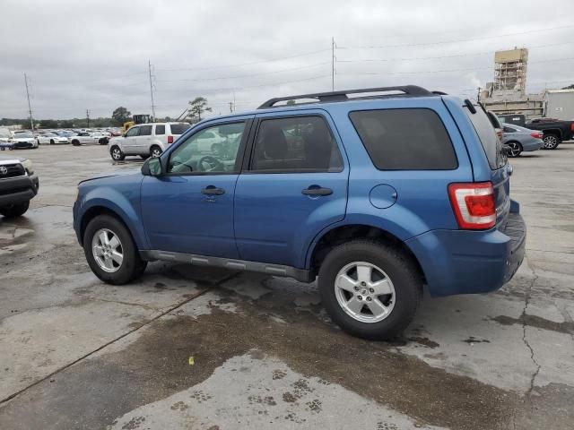 2009 Ford Escape XLT