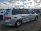 2010 Honda Odyssey EXL