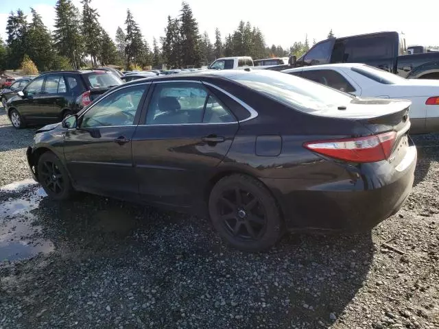 2015 Toyota Camry Hybrid