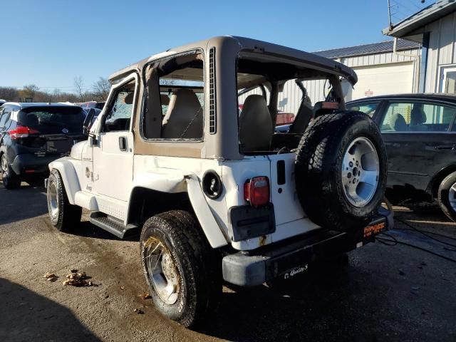 2002 Jeep Wrangler / TJ Sahara