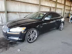 2010 Jaguar XF Premium en venta en Phoenix, AZ