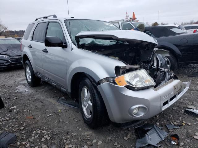 2011 Ford Escape XLT