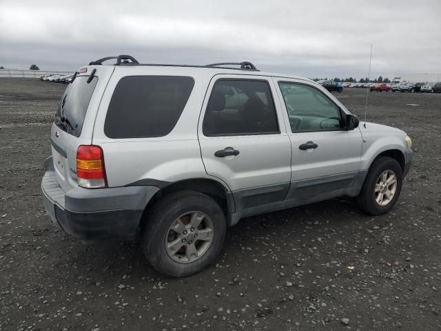 2005 Ford Escape XLT