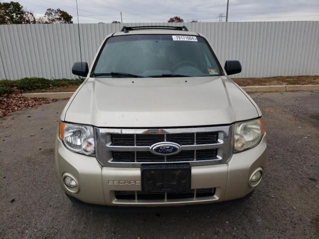 2012 Ford Escape XLT