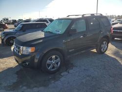 Salvage cars for sale at Indianapolis, IN auction: 2008 Ford Escape XLT