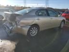 2004 Lexus ES 330