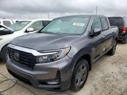 Salvage cars for sale at Arcadia, FL auction: 2023 Honda Ridgeline RTL-E