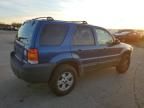 2007 Ford Escape XLT