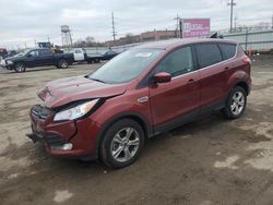 Ford Escape Vehiculos salvage en venta: 2014 Ford Escape SE