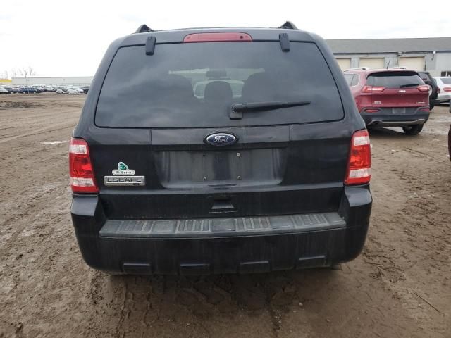 2010 Ford Escape XLT