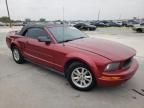 2006 Ford Mustang