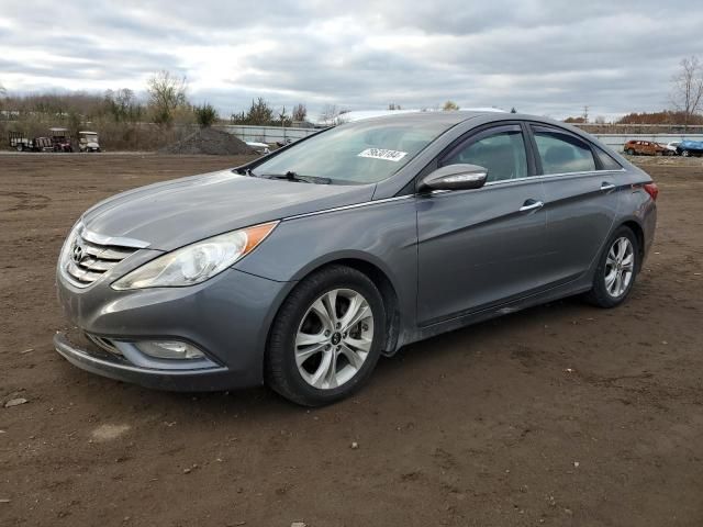 2011 Hyundai Sonata SE