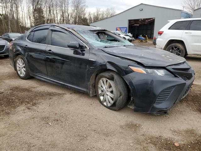 2019 Toyota Camry Hybrid