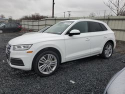 Salvage cars for sale at Hillsborough, NJ auction: 2019 Audi Q5 Premium Plus