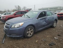 Chevrolet salvage cars for sale: 2013 Chevrolet Malibu LS