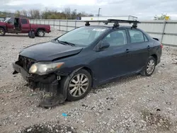 Toyota salvage cars for sale: 2010 Toyota Corolla Base