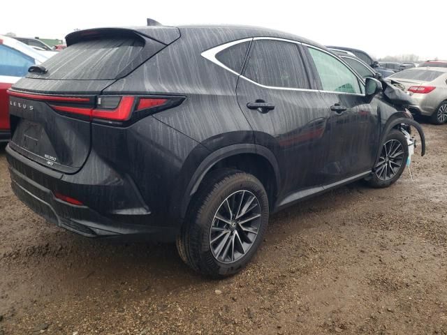 2024 Lexus NX 350 Base