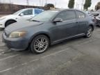 2006 Scion TC