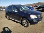 2007 Mercedes-Benz ML 350