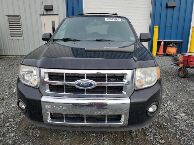 2011 Ford Escape Limited