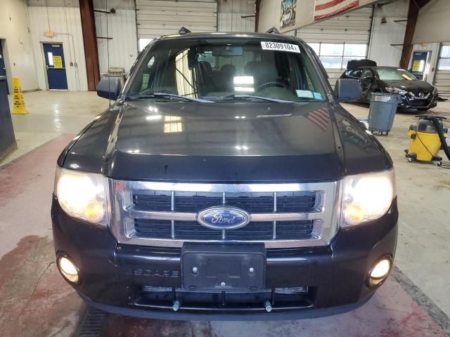 2009 Ford Escape XLT