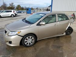 Salvage cars for sale at Lawrenceburg, KY auction: 2010 Toyota Corolla Base