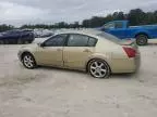 2004 Nissan Maxima SE