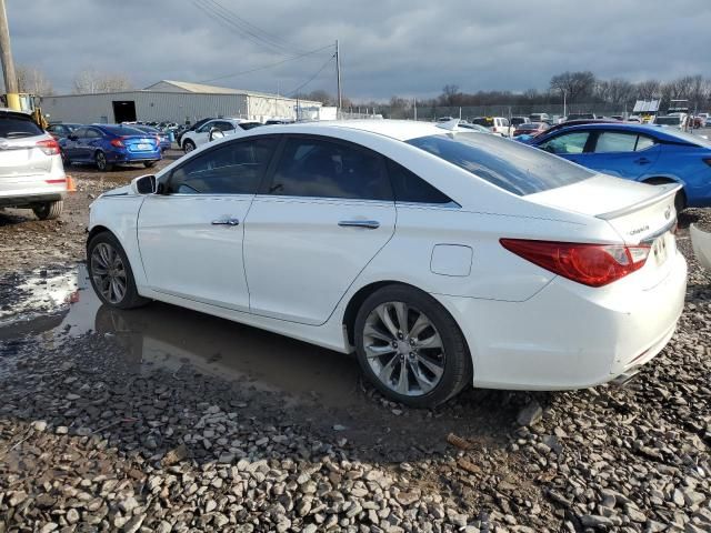 2011 Hyundai Sonata SE