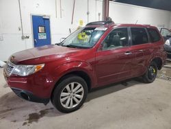 Salvage cars for sale at Blaine, MN auction: 2013 Subaru Forester Touring