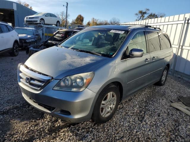 2005 Honda Odyssey EXL