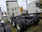 2022 Freightliner Cascadia 126