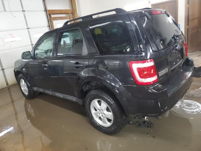 2009 Ford Escape XLT