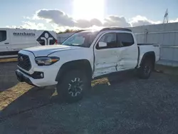 Salvage cars for sale at Anderson, CA auction: 2023 Toyota Tacoma Double Cab