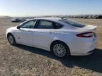 2014 Ford Fusion Titanium Phev