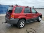 2005 Ford Escape XLT