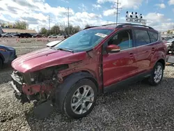 2013 Ford Escape SEL en venta en Columbus, OH