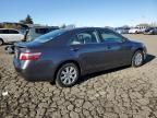 2008 Toyota Camry Hybrid