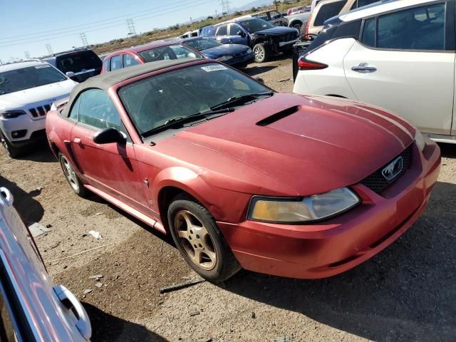 2000 Ford Mustang