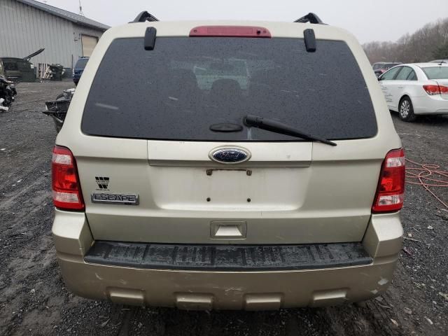 2011 Ford Escape XLT