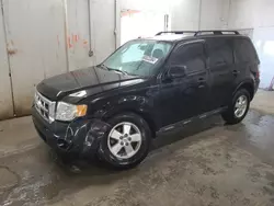 Carros salvage a la venta en subasta: 2011 Ford Escape XLT