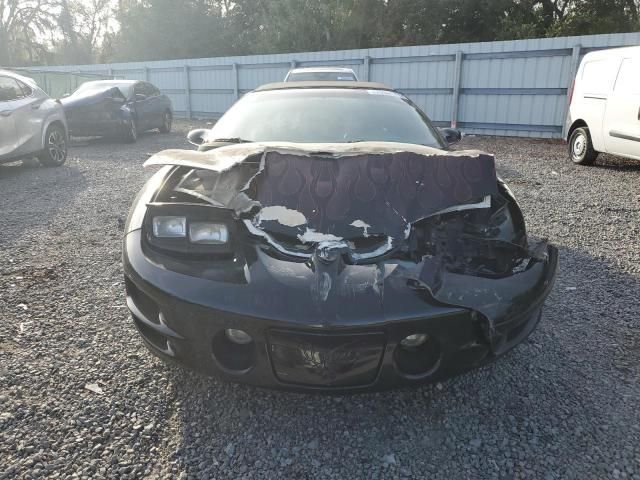 1999 Pontiac Firebird Trans AM