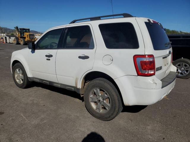 2011 Ford Escape XLT