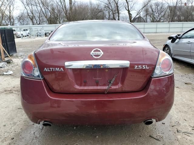 2010 Nissan Altima Base