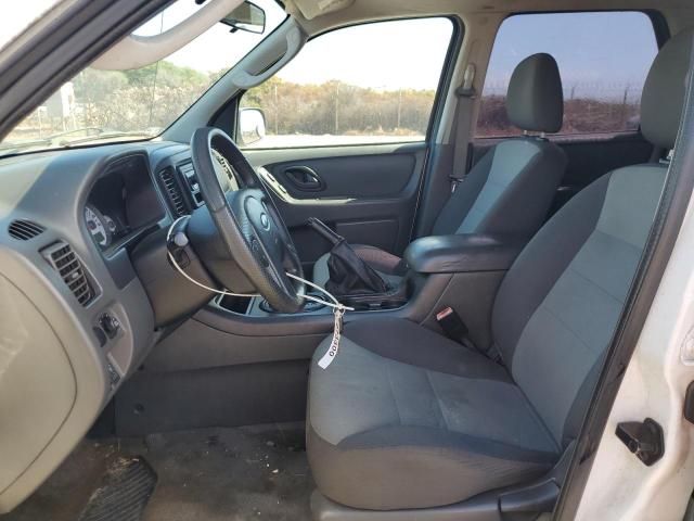 2007 Ford Escape XLS