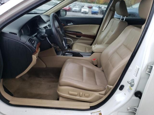 2011 Honda Accord EXL