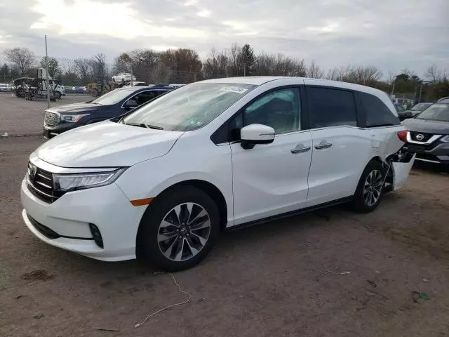 2024 Honda Odyssey EXL